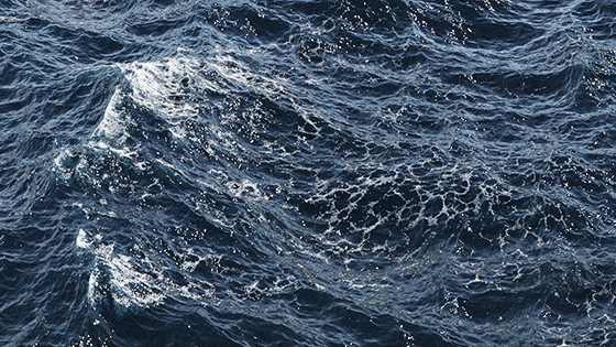 FumeFX ocean foam and bubbles simulation in 3ds max.